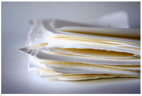 papel en gastos de viaje